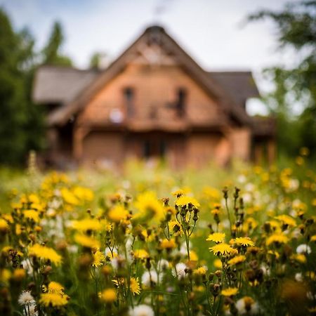 Glowczyce Brzozowy Gaj Bed & Breakfast エクステリア 写真