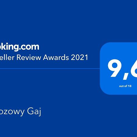 Glowczyce Brzozowy Gaj Bed & Breakfast エクステリア 写真