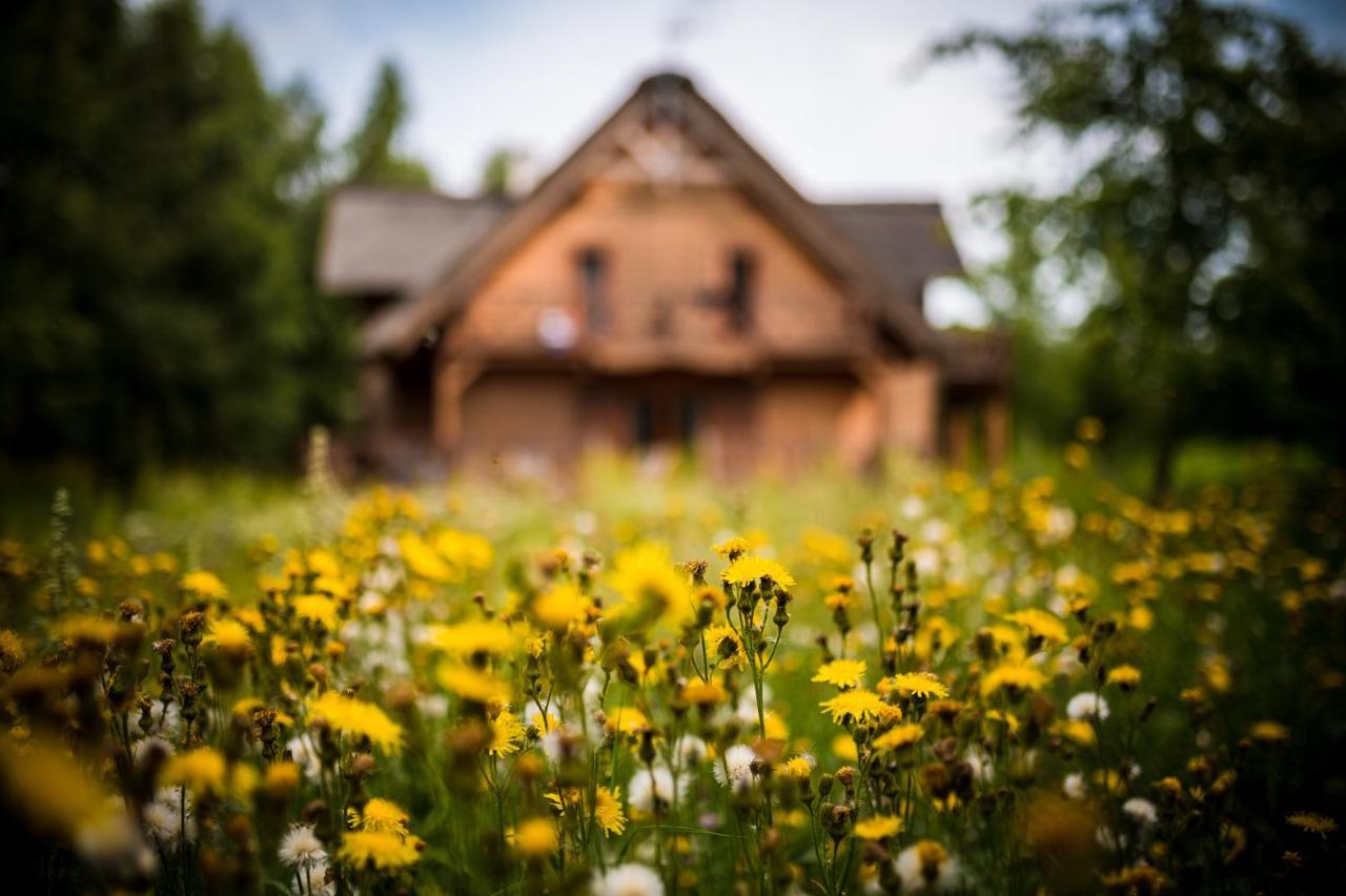 Glowczyce Brzozowy Gaj Bed & Breakfast エクステリア 写真