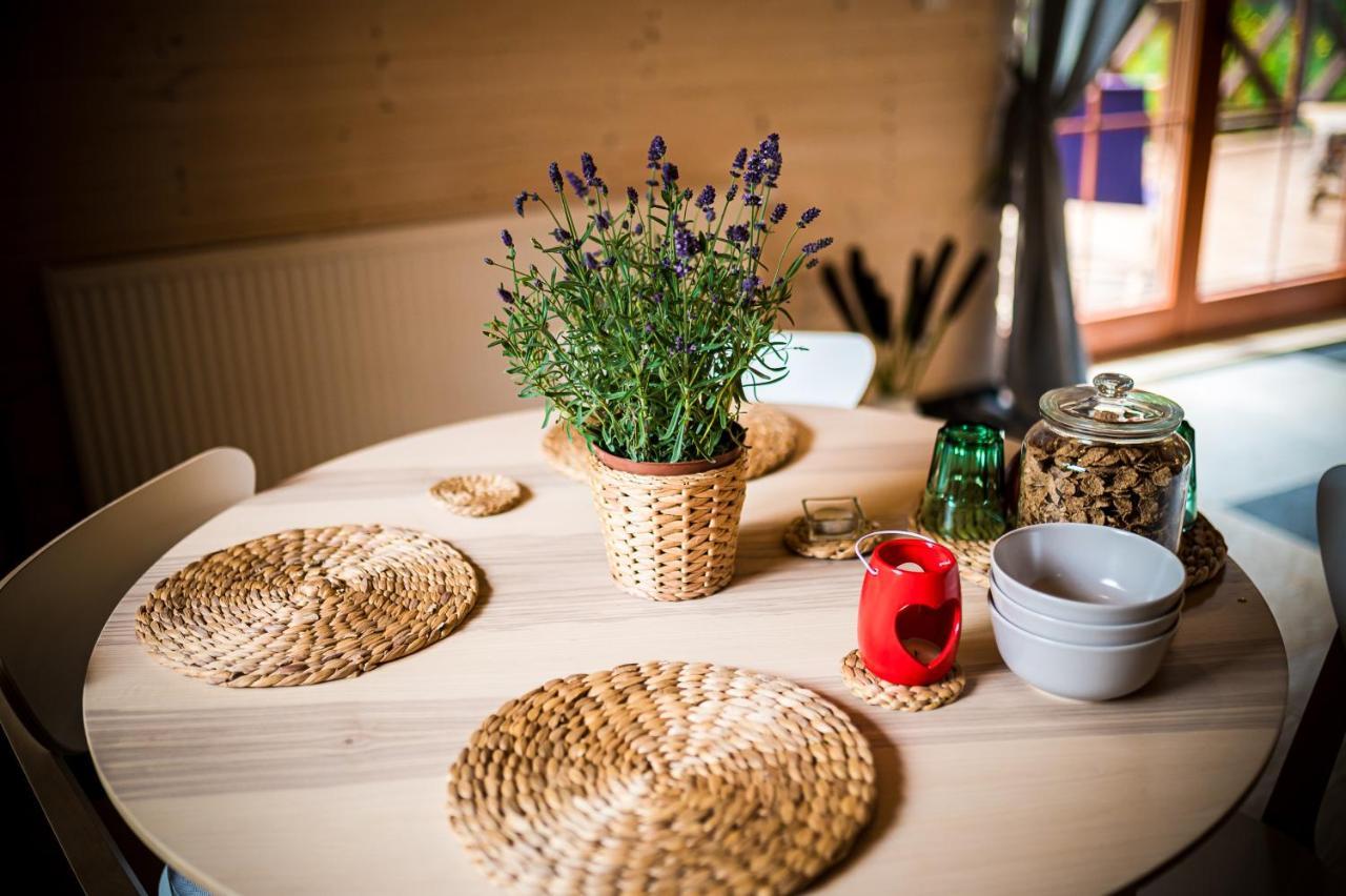 Glowczyce Brzozowy Gaj Bed & Breakfast エクステリア 写真