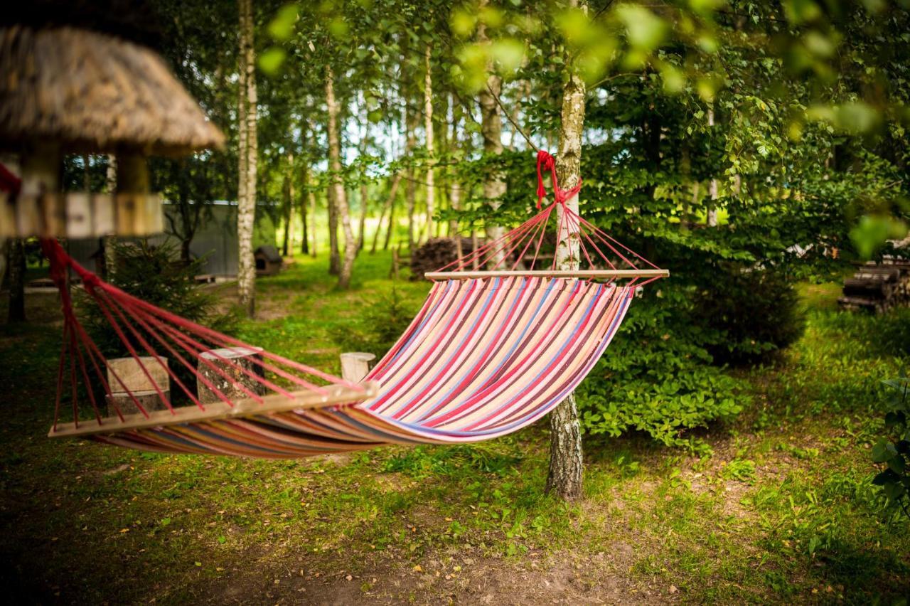 Glowczyce Brzozowy Gaj Bed & Breakfast エクステリア 写真
