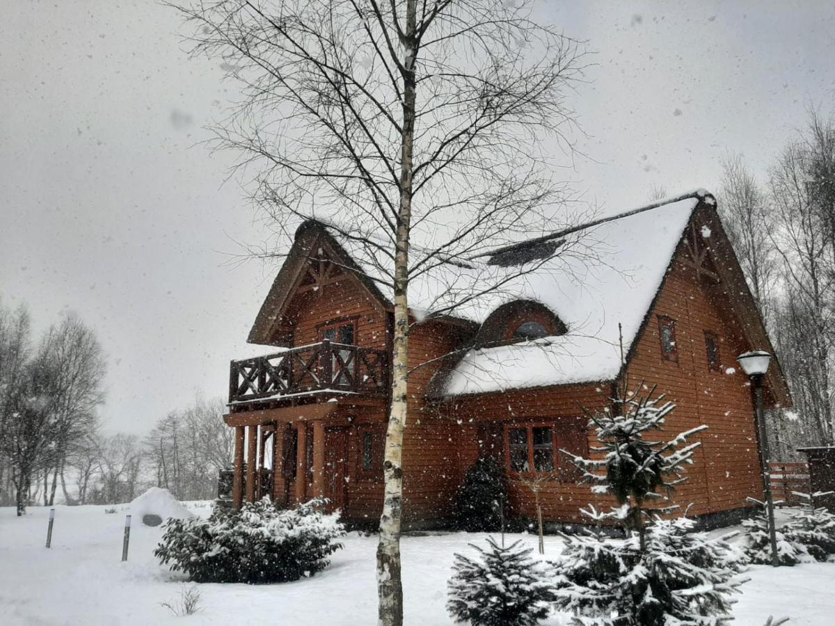 Glowczyce Brzozowy Gaj Bed & Breakfast エクステリア 写真