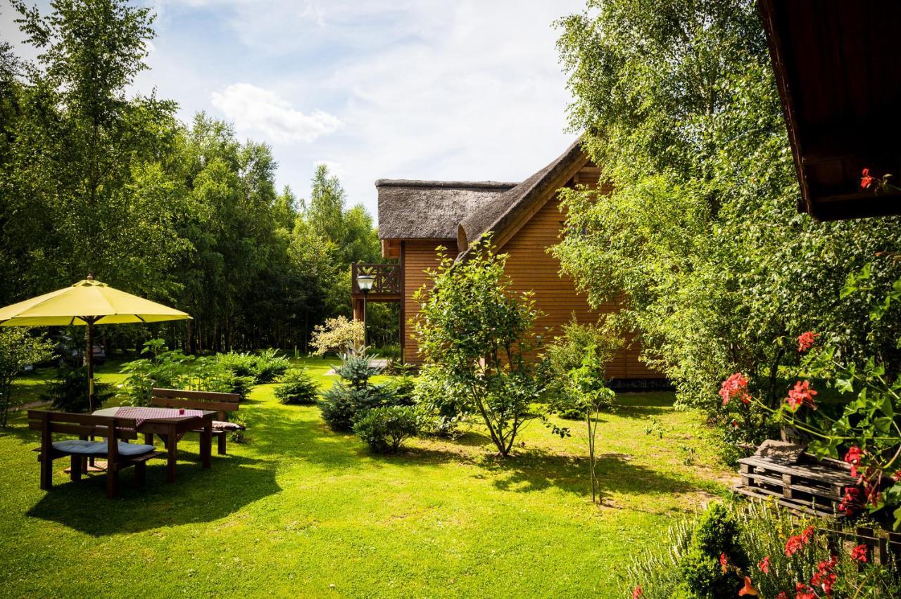 Glowczyce Brzozowy Gaj Bed & Breakfast エクステリア 写真