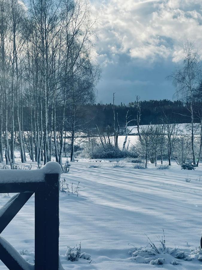 Glowczyce Brzozowy Gaj Bed & Breakfast エクステリア 写真