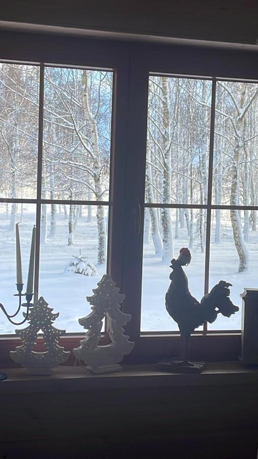 Glowczyce Brzozowy Gaj Bed & Breakfast エクステリア 写真